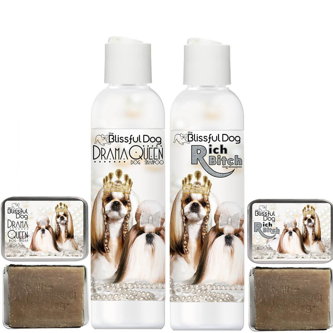 Shih Tzu Rich Bitch & Drama Queen Shampoo – Luxe Coat Shampoo for Shih Tzus | EverstockPets