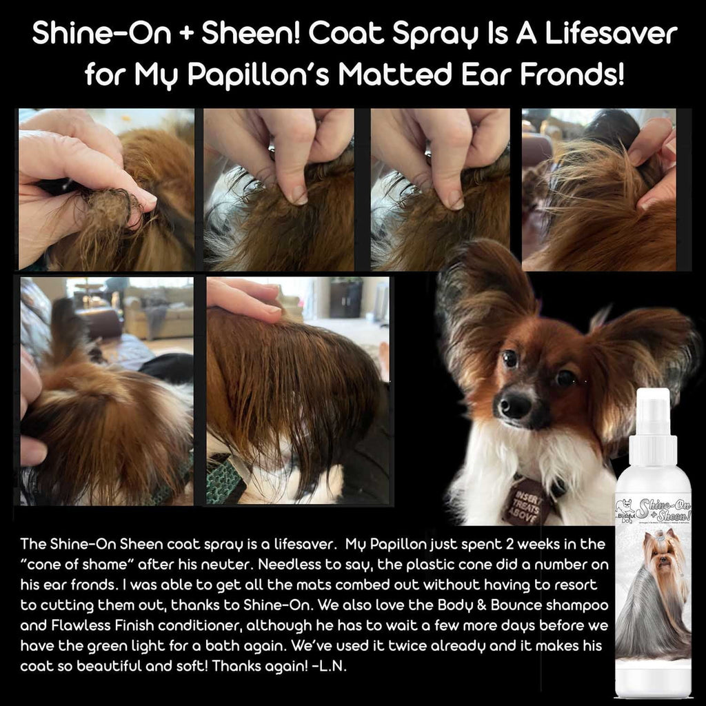 Shine-On+Sheen Dog De-Tangling Coat Spray | EverstockPets