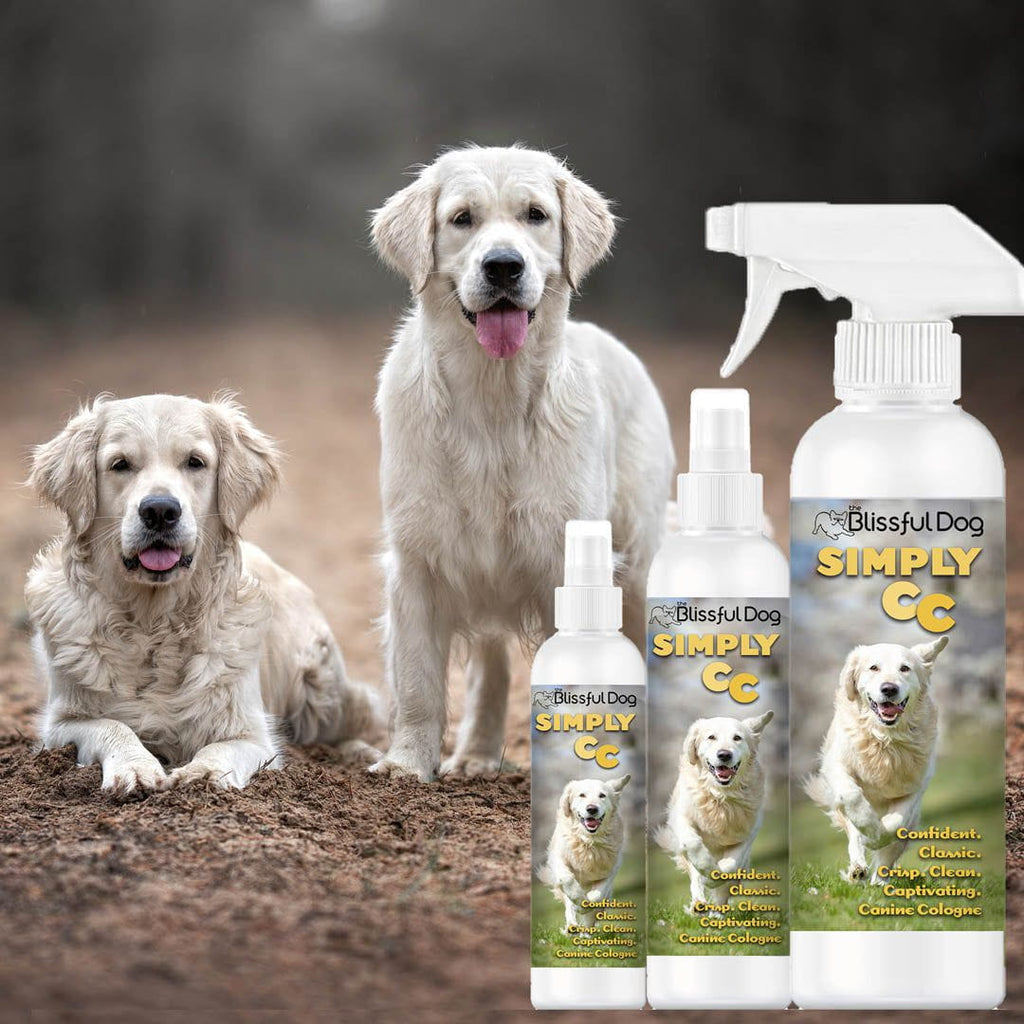 Simply CC Dog Cologne – For the Classically Confident Canine | EverstockPets
