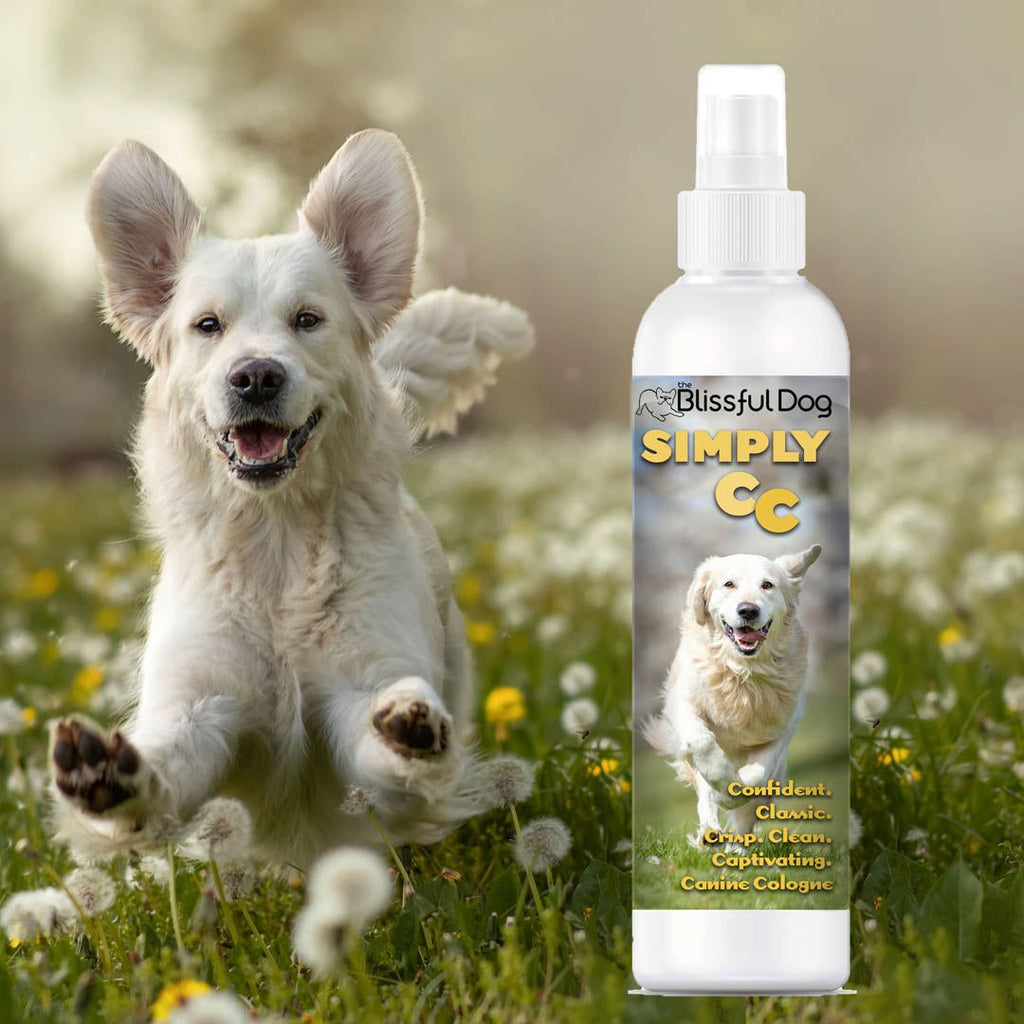 Simply CC Dog Cologne – For the Classically Confident Canine | EverstockPets