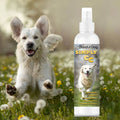 Simply CC Dog Cologne – For the Classically Confident Canine | EverstockPets
