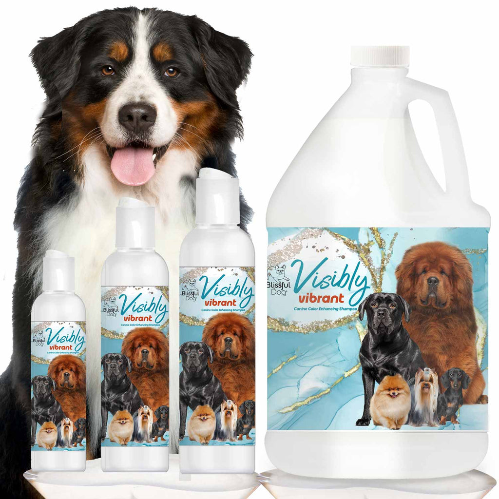 Visibly Vibrant Pet Shampoo – Color-Enhancing Shampoo for Dogs & Cats | EverstockPets