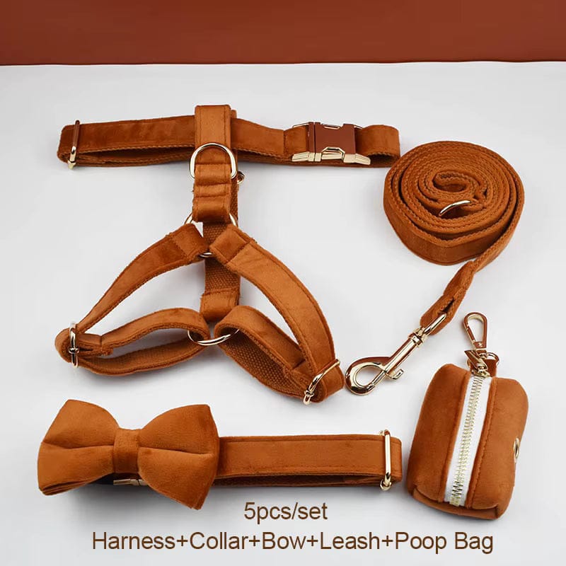 Ancient Pottery Velvet Dog Harness Set – Personalized No-Pull Harness, Leash & Collar