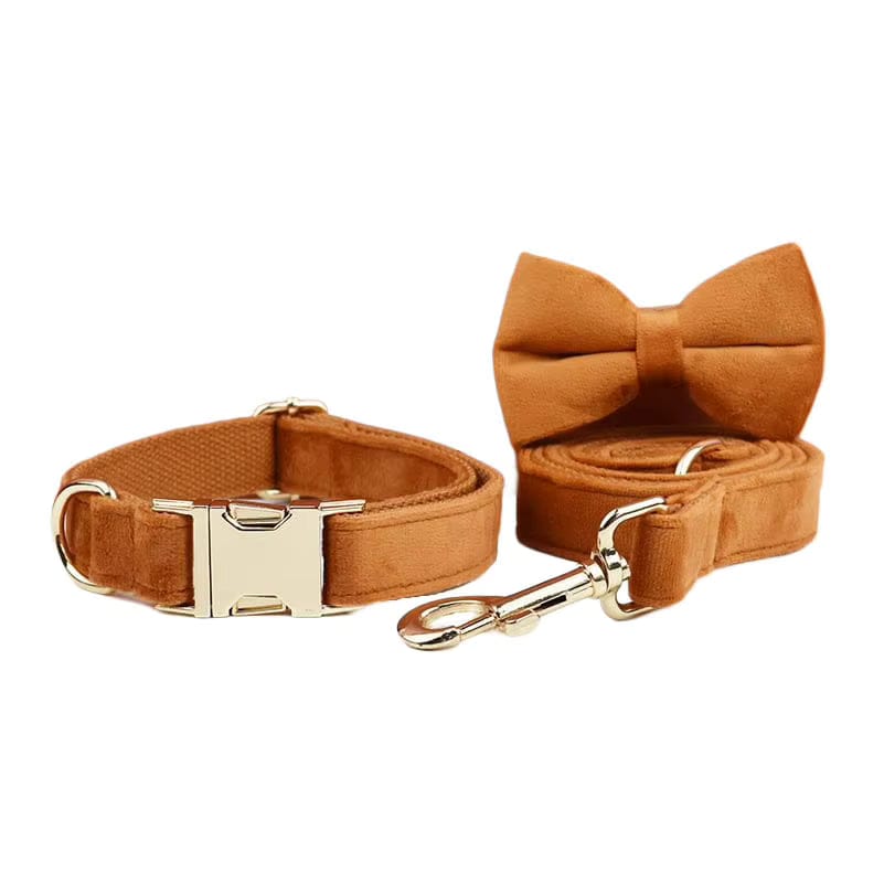 Ancient Pottery Velvet Dog Harness Set – Personalized No-Pull Harness, Leash & Collar