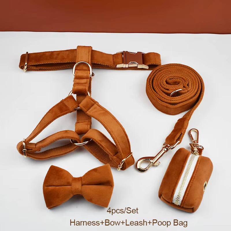 Ancient Pottery Velvet Dog Harness Set – Personalized No-Pull Harness, Leash & Collar