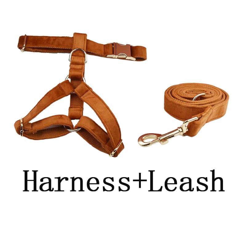 Ancient Pottery Velvet Dog Harness Set – Personalized No-Pull Harness, Leash & Collar