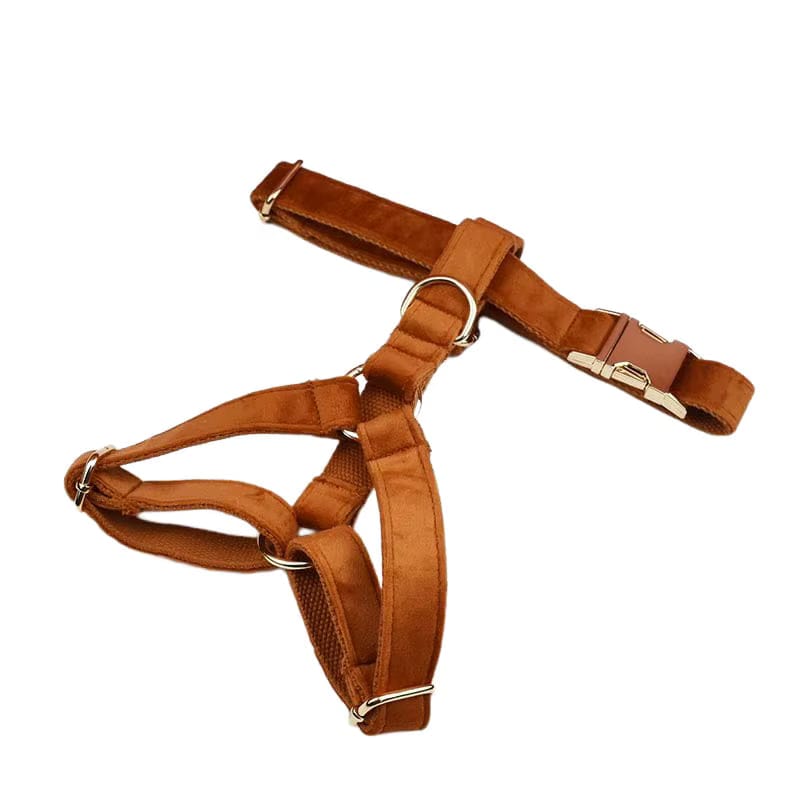 Ancient Pottery Velvet Dog Harness Set – Personalized No-Pull Harness, Leash & Collar