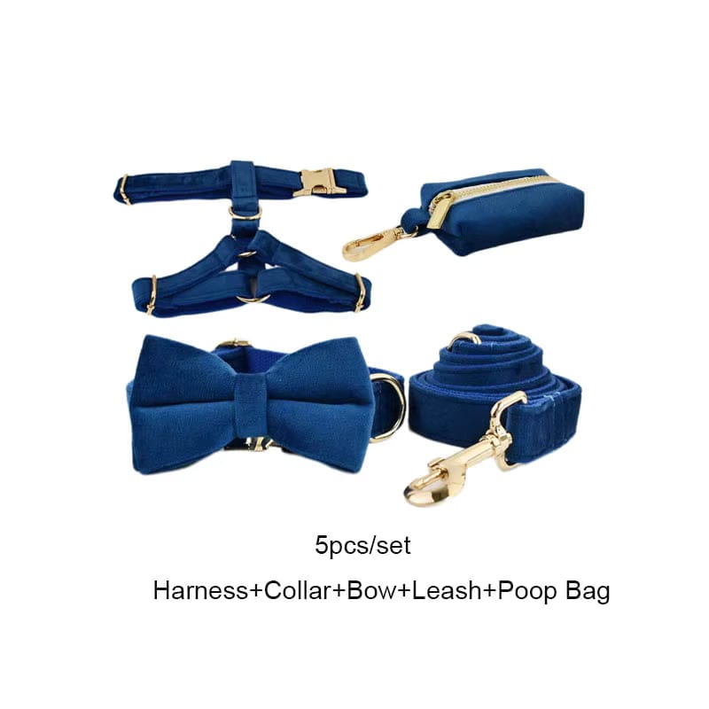 Blue Velvet Dog Harness Set – Personalized No-Pull Harness, Leash & Collar