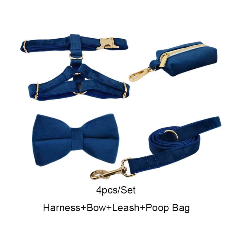 Blue Velvet Dog Harness Set – Personalized No-Pull Harness, Leash & Collar