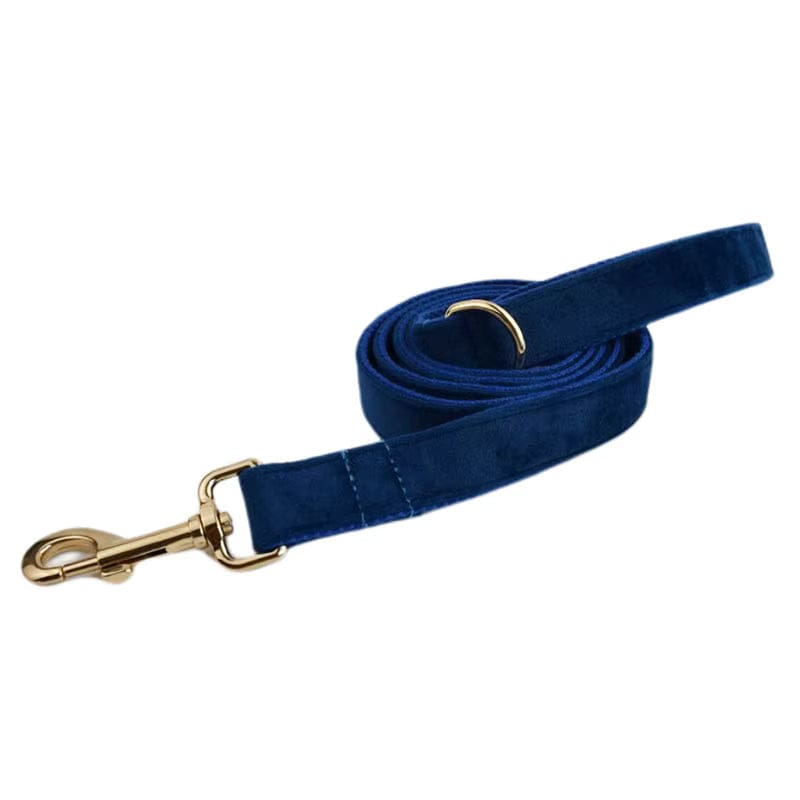 Blue Velvet Dog Harness Set – Personalized No-Pull Harness, Leash & Collar