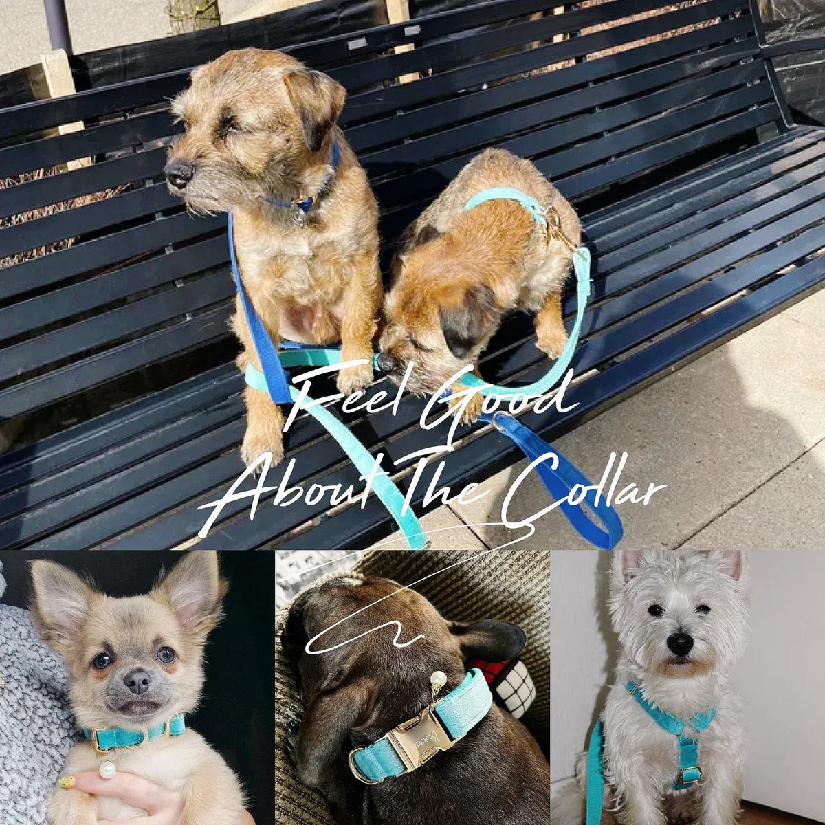Green Ocean Velvet Dog Harness Set – Personalized No-Pull Harness, Leash & Collar