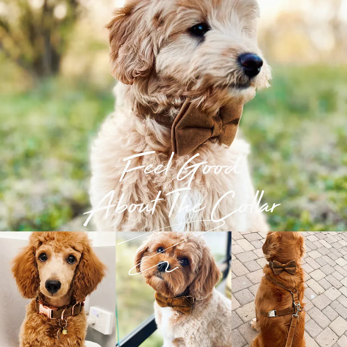 Khaki Velvet Dog Harness Set – Personalized No-Pull Harness, Leash & Collar