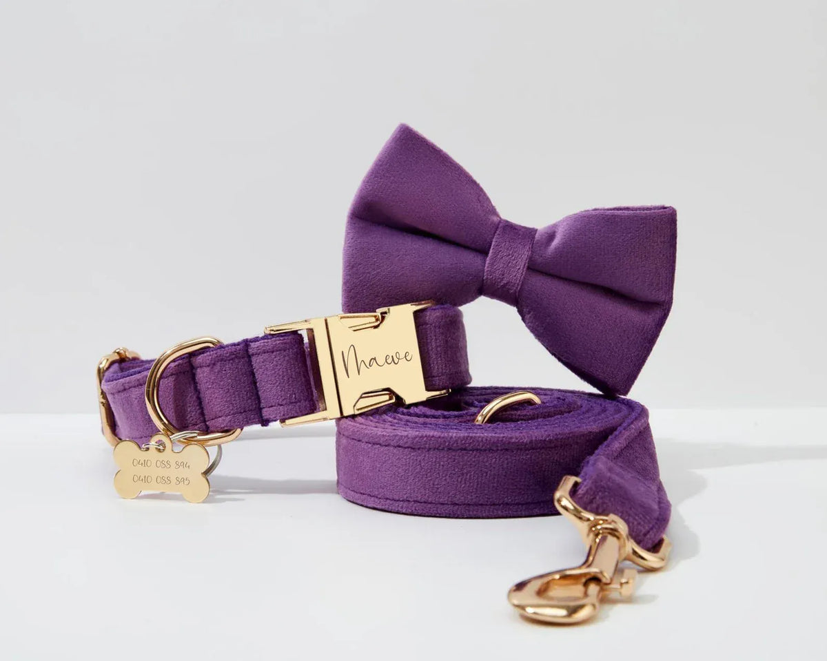 Purple Velvet Dog Harness Set – Personalized No-Pull Harness, Leash & Collar