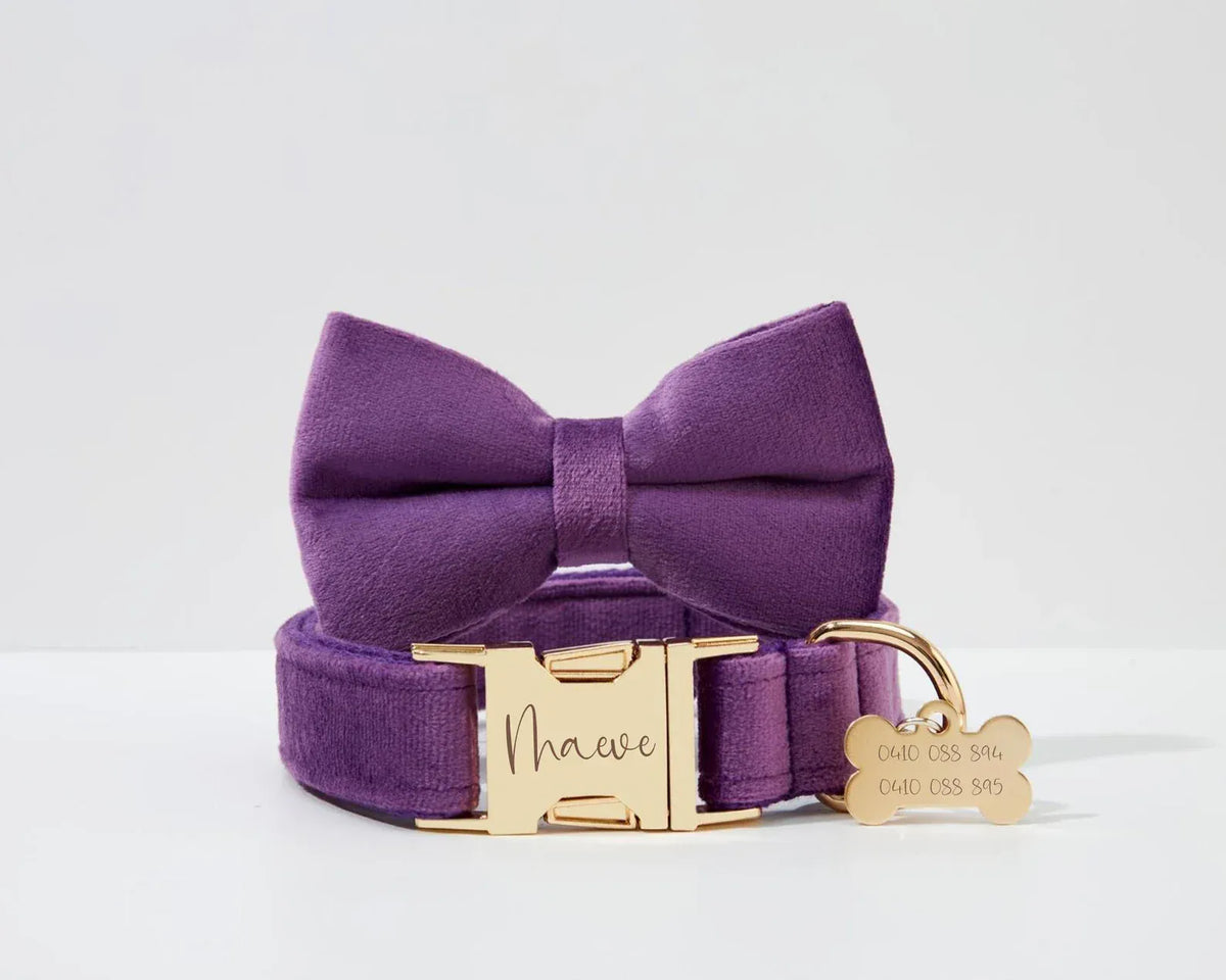 Purple Velvet Dog Harness Set – Personalized No-Pull Harness, Leash & Collar