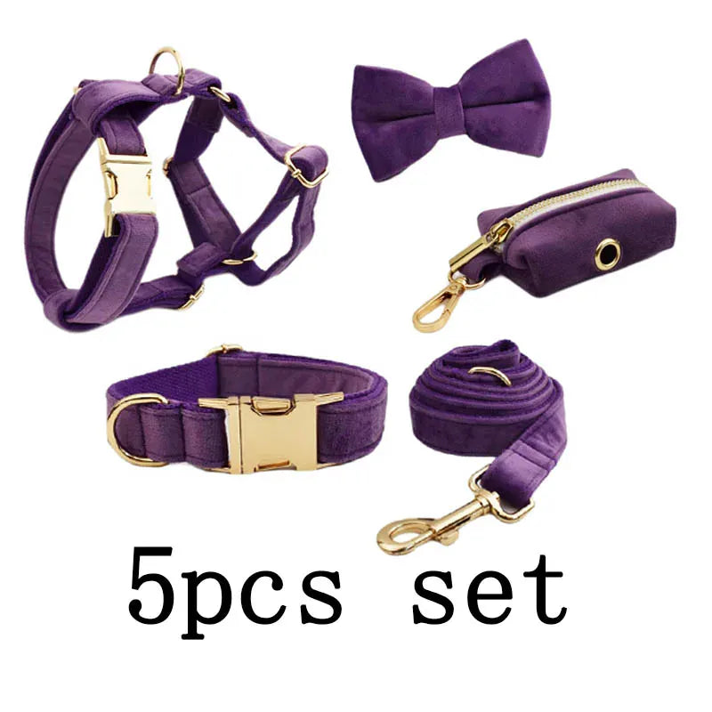 Purple Velvet Dog Harness Set – Personalized No-Pull Harness, Leash & Collar