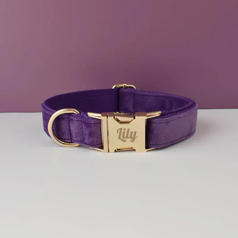 Purple Velvet Dog Harness Set – Personalized No-Pull Harness, Leash & Collar