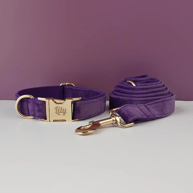 Purple Velvet Dog Harness Set – Personalized No-Pull Harness, Leash & Collar