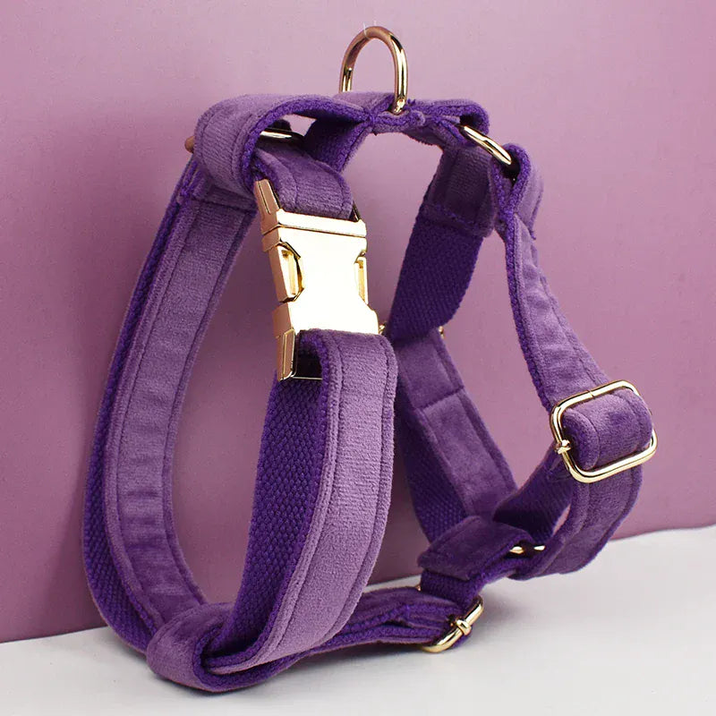 Purple Velvet Dog Harness Set – Personalized No-Pull Harness, Leash & Collar