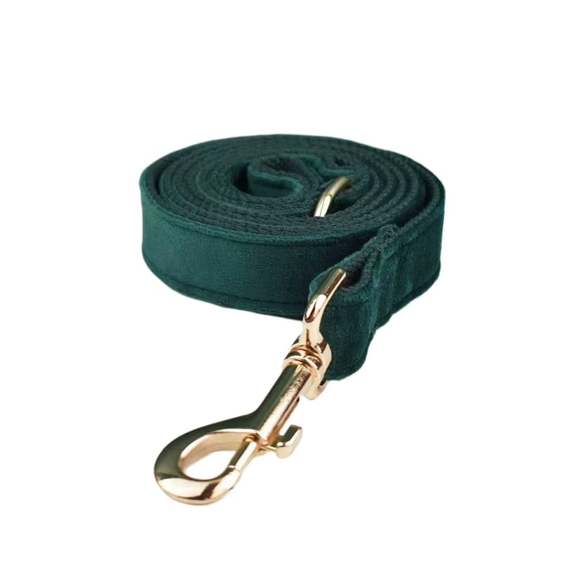 Green Velvet Dog Harness Set – Personalized No-Pull Harness, Leash & Collar