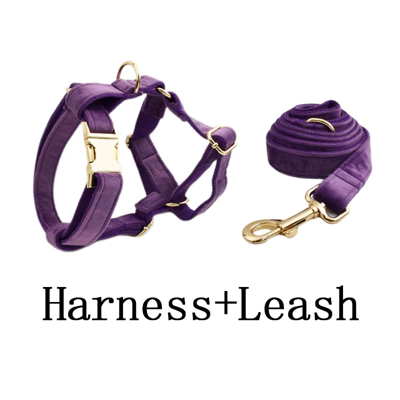 Purple Velvet Dog Harness Set – Personalized No-Pull Harness, Leash & Collar