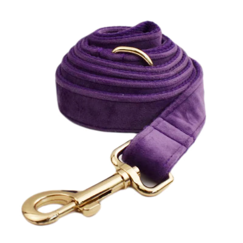 Purple Velvet Dog Harness Set – Personalized No-Pull Harness, Leash & Collar