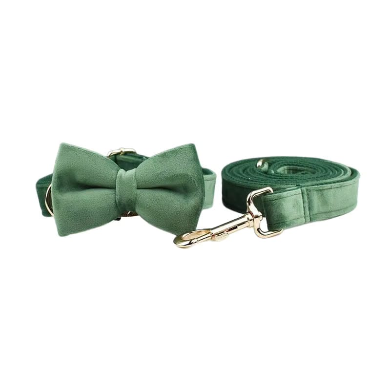 Forest Green Velvet Dog Harness Set – Personalized No-Pull Harness, Leash & Collar