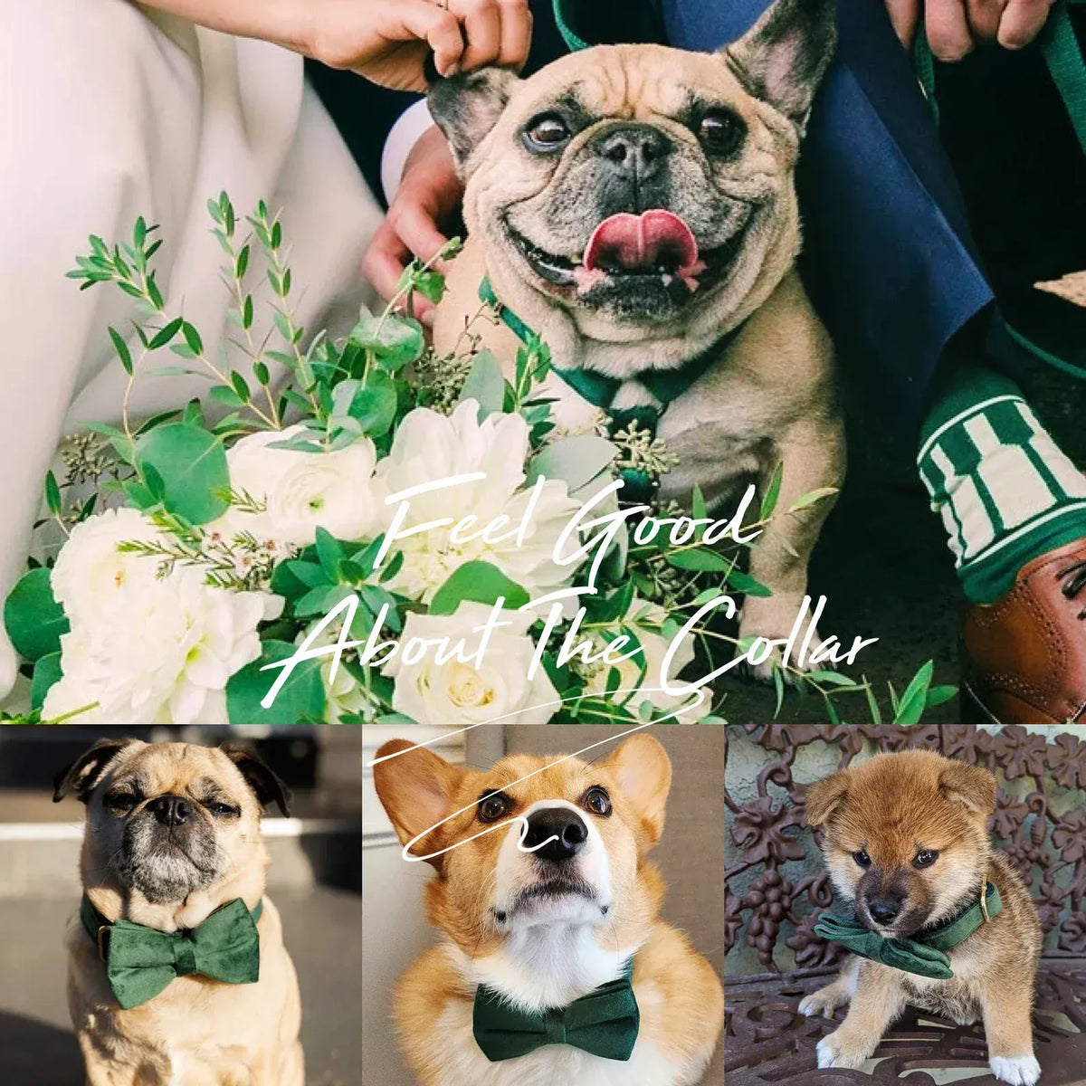 Forest Green Velvet Dog Harness Set – Personalized No-Pull Harness, Leash & Collar