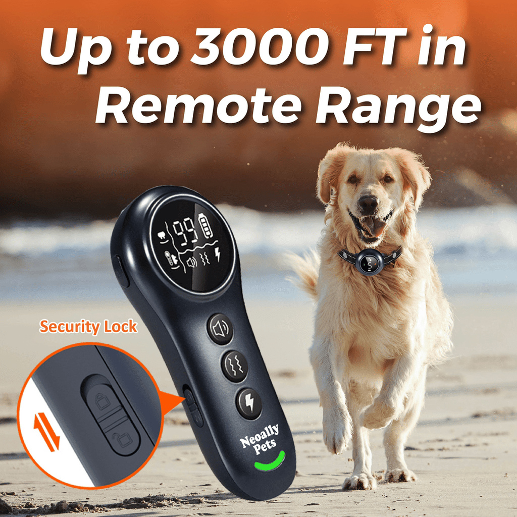 2-in-1 Rechargeable Dog Training & Bark Control Collar