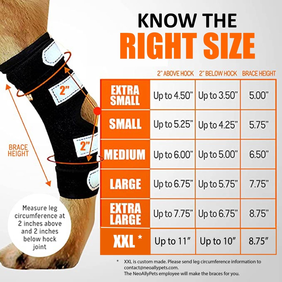 NeoAlly 3-in-1 Long Dog Hock Brace for Rear Legs – Pair