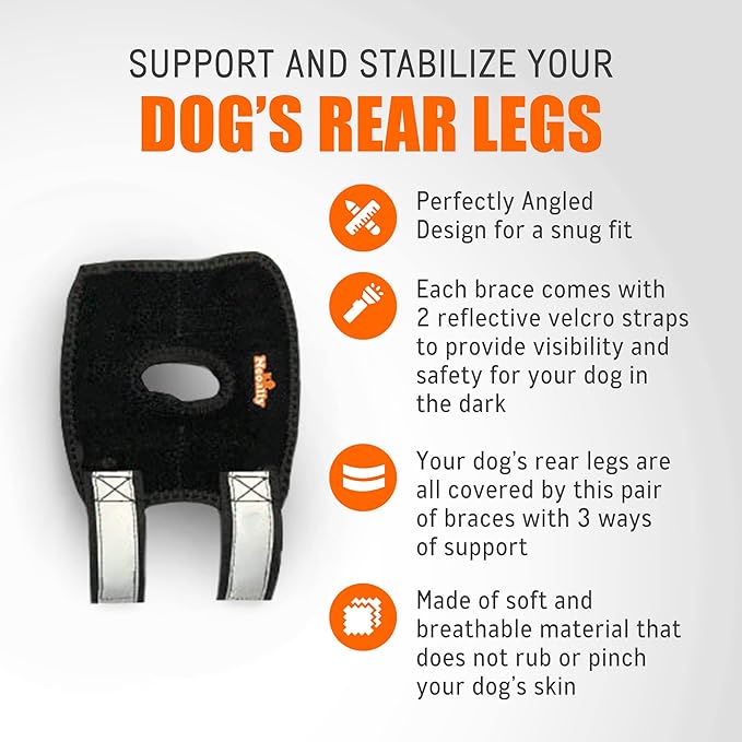 NeoAlly 3-in-1 Short Dog Hock Brace for Small Dogs – Pair