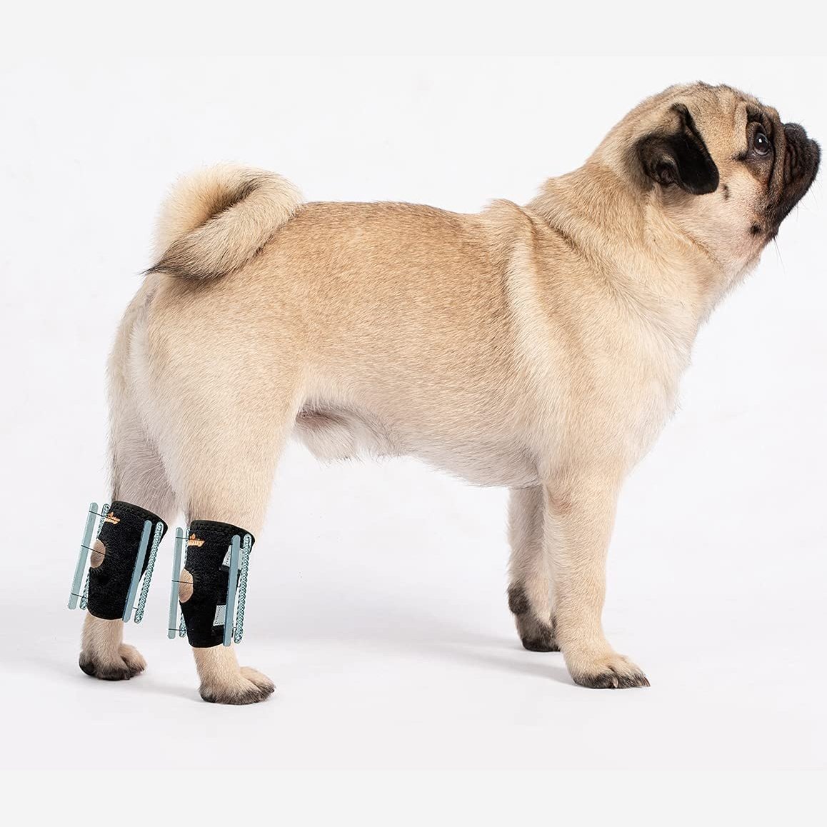 NeoAlly 3-in-1 Short Dog Hock Brace for Small Dogs – Pair
