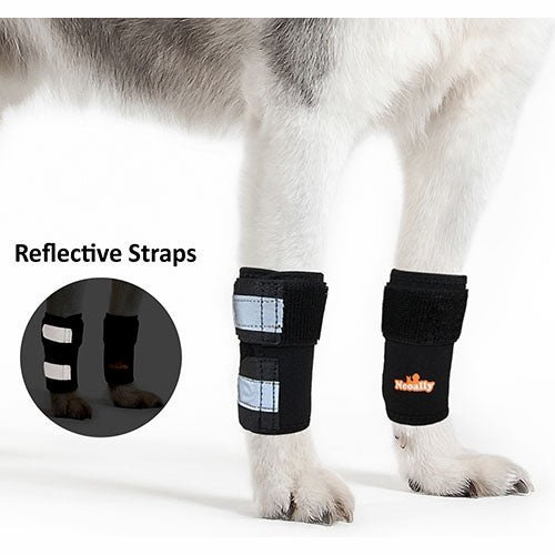 NeoAlly Dog Front Leg Support Braces with Reflective Straps – Pair