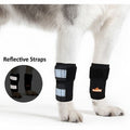 NeoAlly Dog Front Leg Support Braces with Reflective Straps – Pair