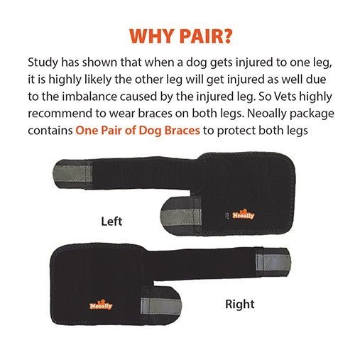 NeoAlly Dog Front Leg Support Braces with Reflective Straps – Pair