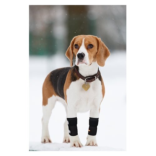 NeoAlly Dog Front Leg Support Braces with Reflective Straps – Pair