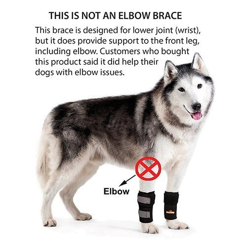 NeoAlly Dog Front Leg Support Braces with Reflective Straps – Pair