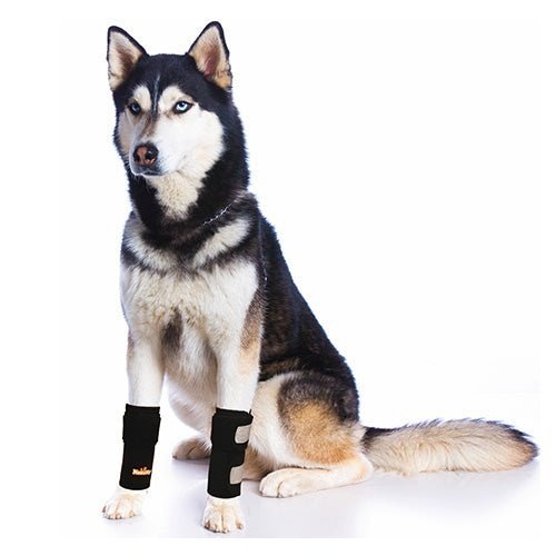 NeoAlly Dog Front Leg Support Braces with Reflective Straps – Pair