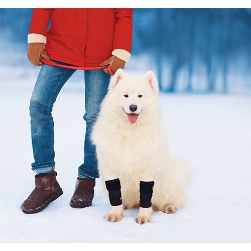 NeoAlly Dog Front Leg Support Braces with Reflective Straps – Pair