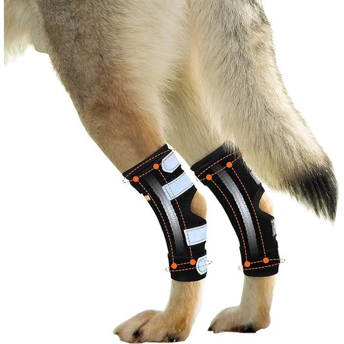NeoAlly Dog Hock Brace with Metal Spring Support – Large Dogs, Pair