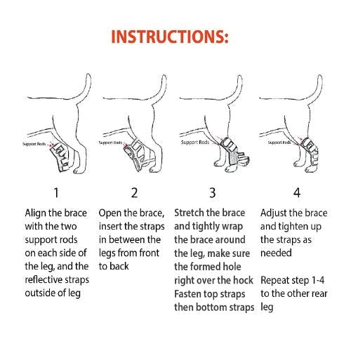 NeoAlly Dog Hock Brace with Metal Spring Support – Large Dogs, Pair