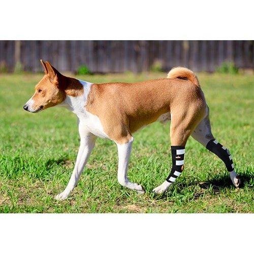 NeoAlly Dog Hock Brace with Metal Spring Support – Large Dogs, Pair