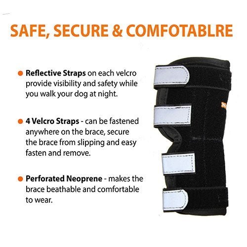 NeoAlly Dog Hock Brace with Metal Spring Support – Large Dogs, Pair