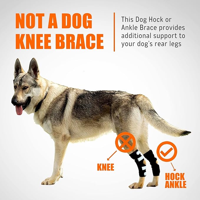NeoAlly Dog Hock Brace with Metal Spring Support – Large Dogs, Pair