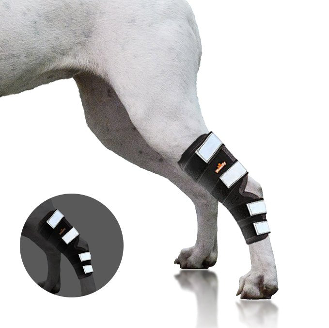 NeoAlly Dog Hock & Ankle Brace for Large Dogs – Long Version