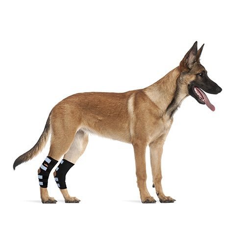 NeoAlly Dog Hock & Ankle Brace for Large Dogs – Long Version