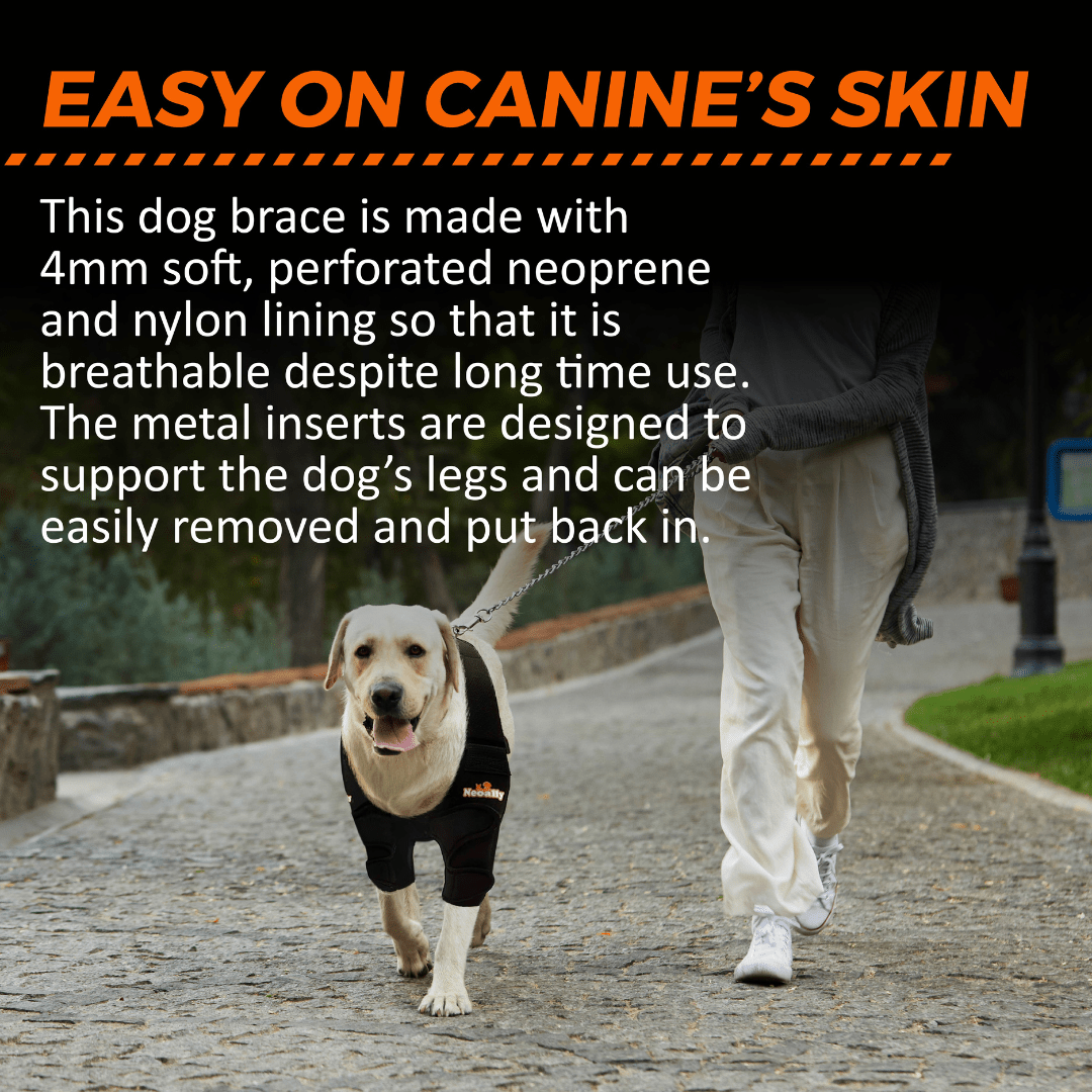 NeoAlly Dog Elbow & Shoulder Brace with Spring Support – Left, Right, or Both
