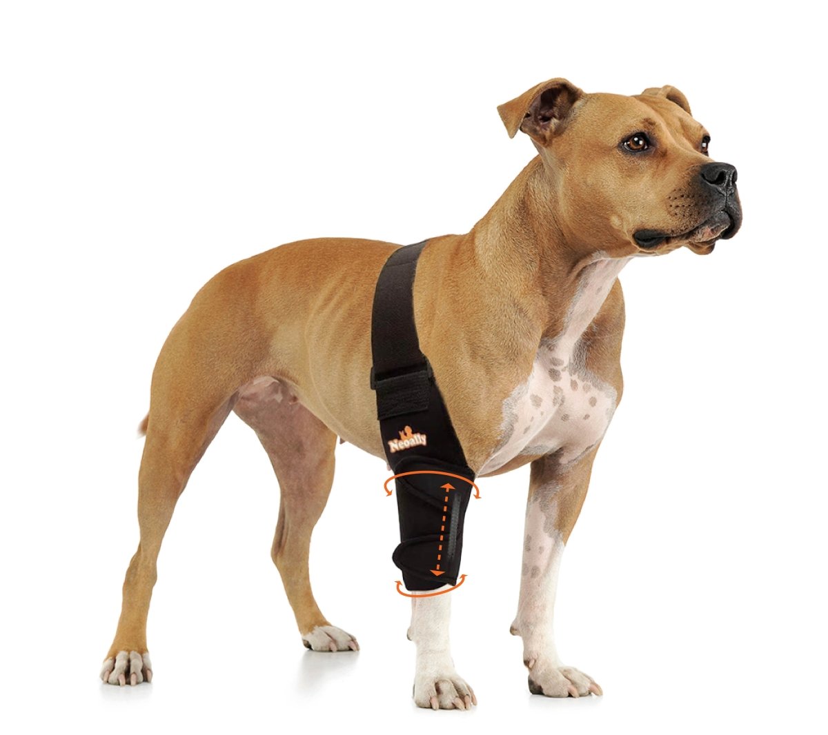 NeoAlly Dog Elbow & Shoulder Brace with Spring Support – Left, Right, or Both
