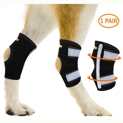 NeoAlly Dog Hock Brace with Metal Spring Support – Small Dogs, Pair