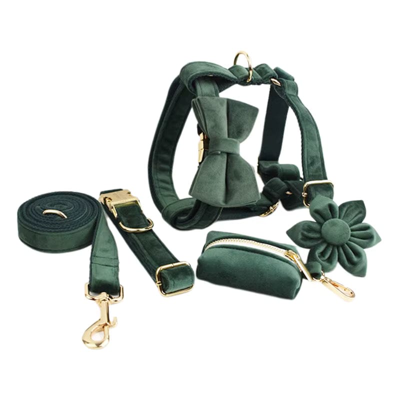 Forest Teal Velvet Dog Harness Set – Personalized No-Pull Harness, Leash & Collar
