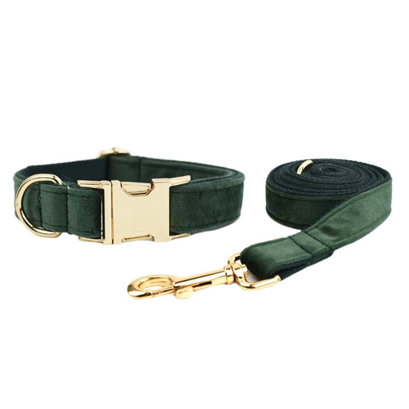 Forest Teal Velvet Dog Harness Set – Personalized No-Pull Harness, Leash & Collar
